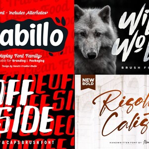 May include: A collage of four font designs. The top left features "Stabillo" in white, the top right shows "Wild Wolf" in a brush font, the bottom left displays "Off Side", and the bottom right presents "Risolla Calisto".