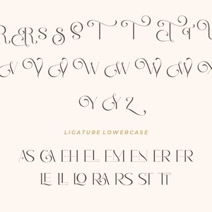 K&ouml;nnte beinhalten: Ein Schriftalphabet mit Kleinbuchstaben in kursiver Schrift. Die Buchstaben sind in Reihen angeordnet und beinhalten Ligaturen f&uuml;r g&auml;ngige Buchstabenkombinationen, wie "st" und "fi".