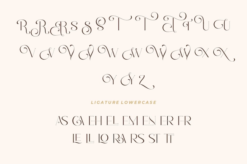 K&ouml;nnte beinhalten: Ein Schriftalphabet mit Kleinbuchstaben in kursiver Schrift. Die Buchstaben sind in Reihen angeordnet und beinhalten Ligaturen f&uuml;r g&auml;ngige Buchstabenkombinationen, wie "st" und "fi".