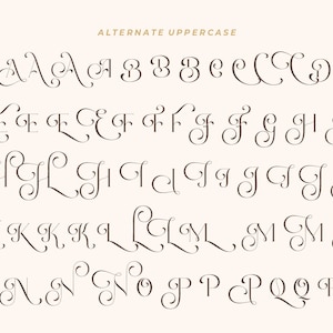 K&ouml;nnte beinhalten: Alternative Gro&szlig;buchstaben des Alphabets in einer dekorativen Schreibschrift. Die Buchstaben sind mit Schn&ouml;rkeln und Wirbeln verziert.