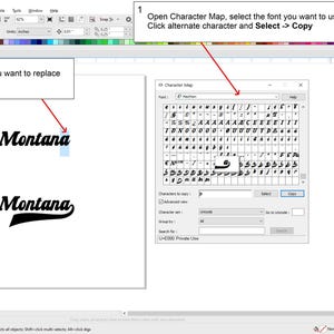 May include: A computer screen displays a tutorial on font editing. The image shows the steps to replace a character in the word "Montana" using a character map. The before and after examples are shown.
