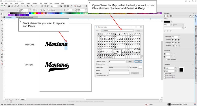 May include: A computer screen displays a tutorial on font editing. The image shows the steps to replace a character in the word "Montana" using a character map. The before and after examples are shown.