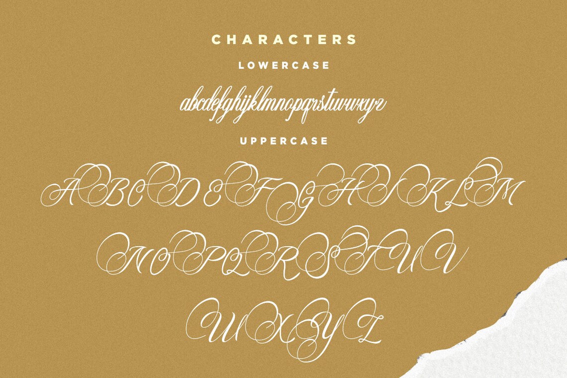 Amorista Font Luxury Font Wedding Font Elegant Font SVG | Etsy
