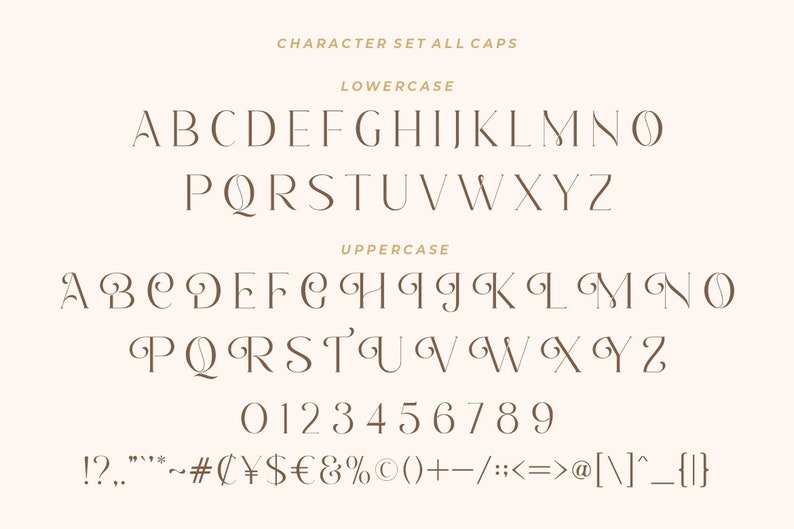 K&ouml;nnte beinhalten: Ein Alphabet-Diagramm einer Schriftart, das Gro&szlig;- und Kleinbuchstaben, Zahlen und Satzzeichen zeigt. Die Schriftart ist ein dekorativer Schriftstil mit einem klassischen Flair.