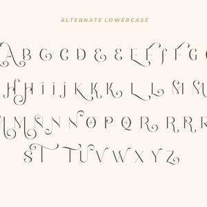 K&ouml;nnte beinhalten: Alternatives Kleinbuchstabenalphabet mit dekorativen Schn&ouml;rkeln. Die Buchstaben sind in einem kursiven Stil mit schwarzem Umriss.