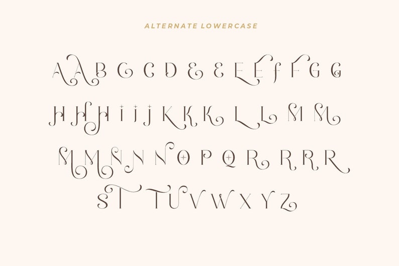 K&ouml;nnte beinhalten: Alternatives Kleinbuchstabenalphabet mit dekorativen Schn&ouml;rkeln. Die Buchstaben sind in einem kursiven Stil mit schwarzem Umriss.