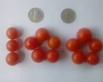 Super Sweet 100 Cherry Tomato - +30 Fresh Seeds - Supersweet!