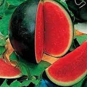 May include: A halved watermelon with a dark green rind and bright red flesh. The watermelon is sliced into wedges and arranged on a wooden cutting board.