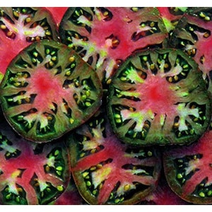 Black Sea Man-  +25 Fresh Seeds - Beautiful and Delicious