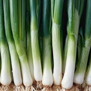 May include: A close-up shot of a bunch of fresh green onions. The green onion stalks are a vibrant green color, with white bases and visible roots. The image is well-lit, highlighting the texture and freshness of the vegetables.