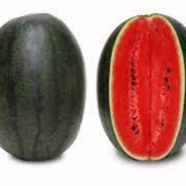 Premium Black Diamond Watermelon - Fresh Organic, Heirloom Seeds - Beautiful and Delicious - Gets up to 40 pounds!  Sweet and Firm!