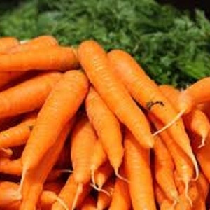 May include: A pile of fresh, orange carrots. The carrots are arranged in a random pattern, with some carrots overlapping others. The carrots are all about the same size and shape.