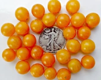 Gold Rush - +30 Fresh Heirloom Seeds! Great in Salads!