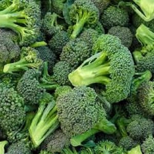 May include: A close-up shot of fresh broccoli florets, showcasing their vibrant green color and textured surfaces. The image is filled with multiple broccoli heads and stems, creating a dense, natural pattern. The broccoli appears to be freshly harvested.