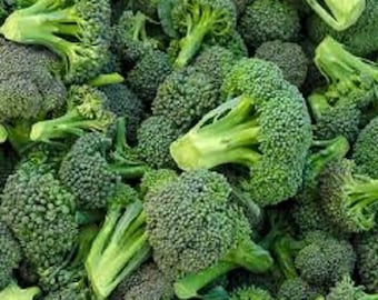 Premium Waltham 29 Broccoli Seeds - Most Popular Variety in the World!