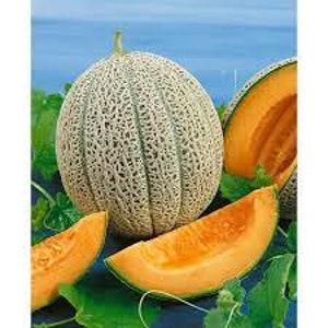 May include: A whole cantaloupe melon with a netted rind and a light green color. The melon is cut into slices, revealing a bright orange flesh.