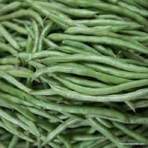 May include: A close-up of a pile of fresh green string beans. The beans are long and slender, with a bright green color.