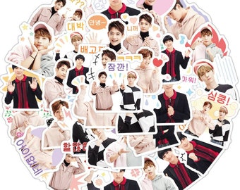 exo stickers etsy