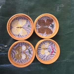 Peut inclure: Quatre dessous de verre ronds avec un cadre en bambou naturel, chacun contenant un papillon préservé. Les papillons varient en couleur, avec des nuances de jaune, de marron et de blanc. Les dessous de verre sont posés sur un fond vert.