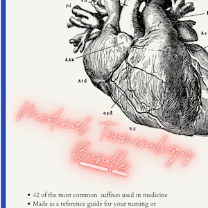 Bundle of Medical Prefixes + Suffixes / Nursing Medical Terminology / Reference Sheet