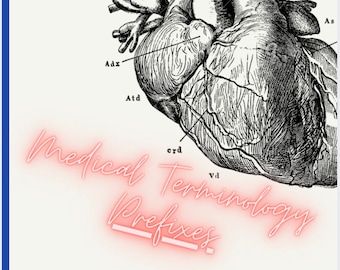 May include: A black and white anatomical illustration of a human heart with labels for different parts of the heart. The text "Medical Terminology Prefixes" is written in pink neon letters.