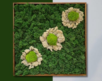 Handmade Preserved Moss Flower Wall Art – Eco Botanical Decor