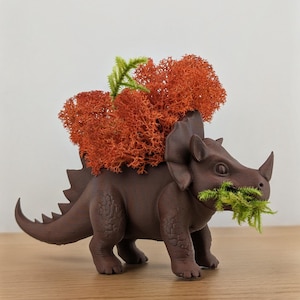 Puede incluir: Una maceta de triceratops marrón con superficie texturizada, con musgo verde en la boca y musgo naranja en la parte superior. La maceta de dinosaurio es un artículo decorativo único.