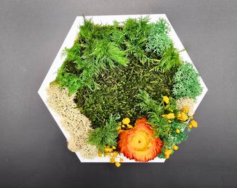 May include: A white, hexagon-shaped wall art piece filled with various shades of green moss, accented with a vibrant orange flower and small yellow blooms. The arrangement creates a natural, textured aesthetic.