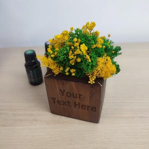 Puede incluir: Una maceta cúbica de madera con el texto "Your Text Here" grabado en la parte delantera. La maceta está llena de una mezcla de musgo verde y flores amarillas. Dos botellas oscuras están en el fondo.
