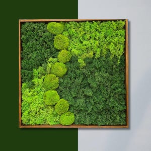 Natürliche Moos Wandkunst | Konservierte Rentier-Moos-Rahmen | Grünpflanze Dekor für Haus oder Büro | Vertikales Gartenwandpaneel