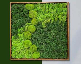 Preserved Moss Wall Art – Minimal Scandinavian Forest Design (19.7x19.7 in)