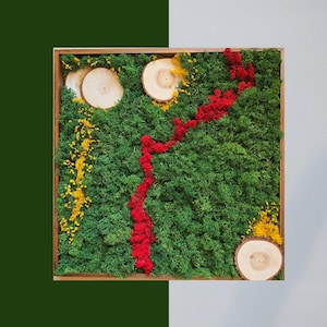 Preserved Moss Art | Natural Moss Wall Art | Preserved Reindeer Moss Frame | Green Plant Decor for Home or Office Vertical Garden Wall Panel