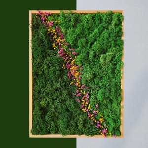 Natural Moss Wall Art | Preserved Reindeer Moss Frame | Green Plant Decor for Home or Office | Vertical Garden Wall Panel