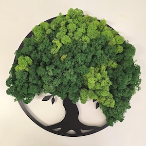 May include: A decorative wall hanging featuring a tree design. The tree's silhouette is black, with a circular frame. The tree's foliage is made of vibrant green moss, creating a textured, natural look. The artwork is mounted on a white background.