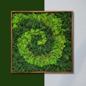 Spiral Moss Wall Art – Preserved Moss Frame for Eco Home Decor – Green Biophilic Vertical Garden – Nature-Inspired Living Wall Gift