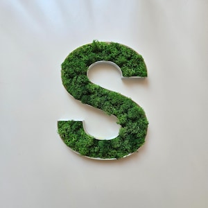 Puede incluir: Una gran letra "S" decorativa rellena de musgo verde vibrante. La letra tiene un borde blanco y se encuentra sobre un fondo blanco liso. Ideal como decoración de pared o para un evento especial.