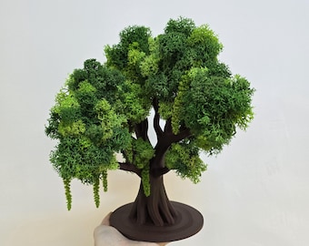 May include: A miniature decorative tree with a brown trunk and base, and vibrant green foliage. The tree's leaves have a textured appearance, and the overall design is reminiscent of a bonsai tree. The tree is held by a hand.