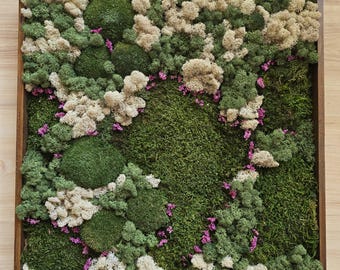 Handmade Preserved Moss Wall Art – Biophilic Green Decor