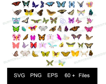 Butterfly colour clipart svg eps png downloadable digital files | 60 plus butterflies | printable images for crafts | cricut cut files