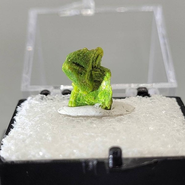 RARE Radioactive .87 g Autunite mineral specimen (mounted and displayed in a collector's box)