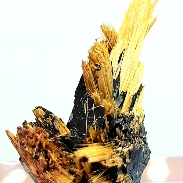 RARE - Natural Exposed Golden Rutile Hair Needles with Hematite