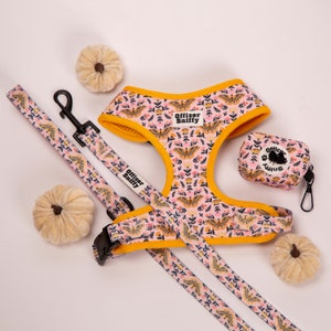 Hundegeschirr &quot;Wing It&quot;