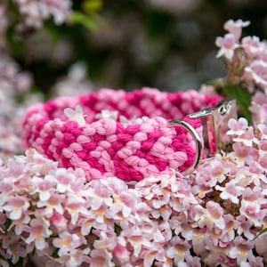 Könnte beinhalten: Ein pinkfarbenes und hellrosa geflochtenes Hundehalsband mit einer silbernen Schnalle. Das Halsband liegt auf einem Bett aus rosa Blüten.