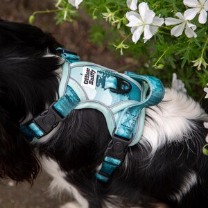 Op de afbeelding: Een blauwgroen en blauw honden harnas met de tekst "Officer Sniffy" op de borst. Het harnas heeft een landschapsontwerp en zwarte plastic gespen. De zwart-witte vacht van de hond is zichtbaar.