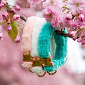 May include: Three fluffy dog collars in pink, white, and turquoise with gold hardware. The collars are hanging from a branch with pink blossoms.