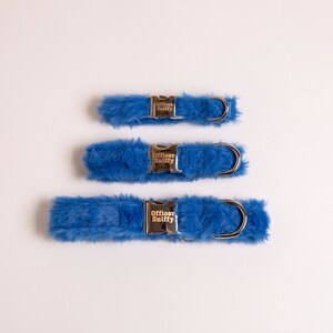 May include: Three blue faux fur dog collars with silver buckles. The buckles have the text "Officer Sniffy" engraved on them.