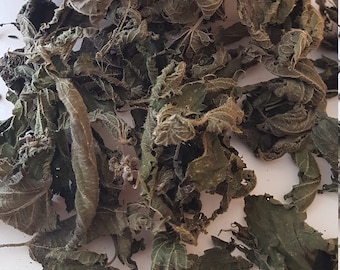 Nettle Leaf, Nettle Leaf Tea, Nettle Dried Leaves, Natural Herbs, New Season Tea, 2021