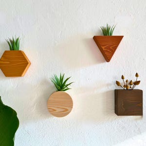 Japandi Wand Pflanzer Indoor Holz 4 Stück Set, Hängende Pflanzgefäße für Innen, Air Plant Live Halter Wand, Housewarming Geschenk, Blumendekor