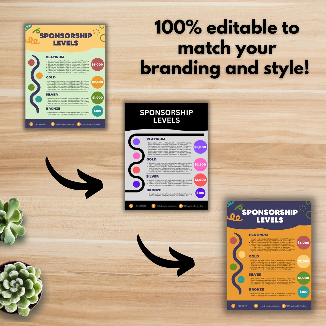 SPONSORSHIP LEVEL OVERVIEW Template Canva Template Editable 