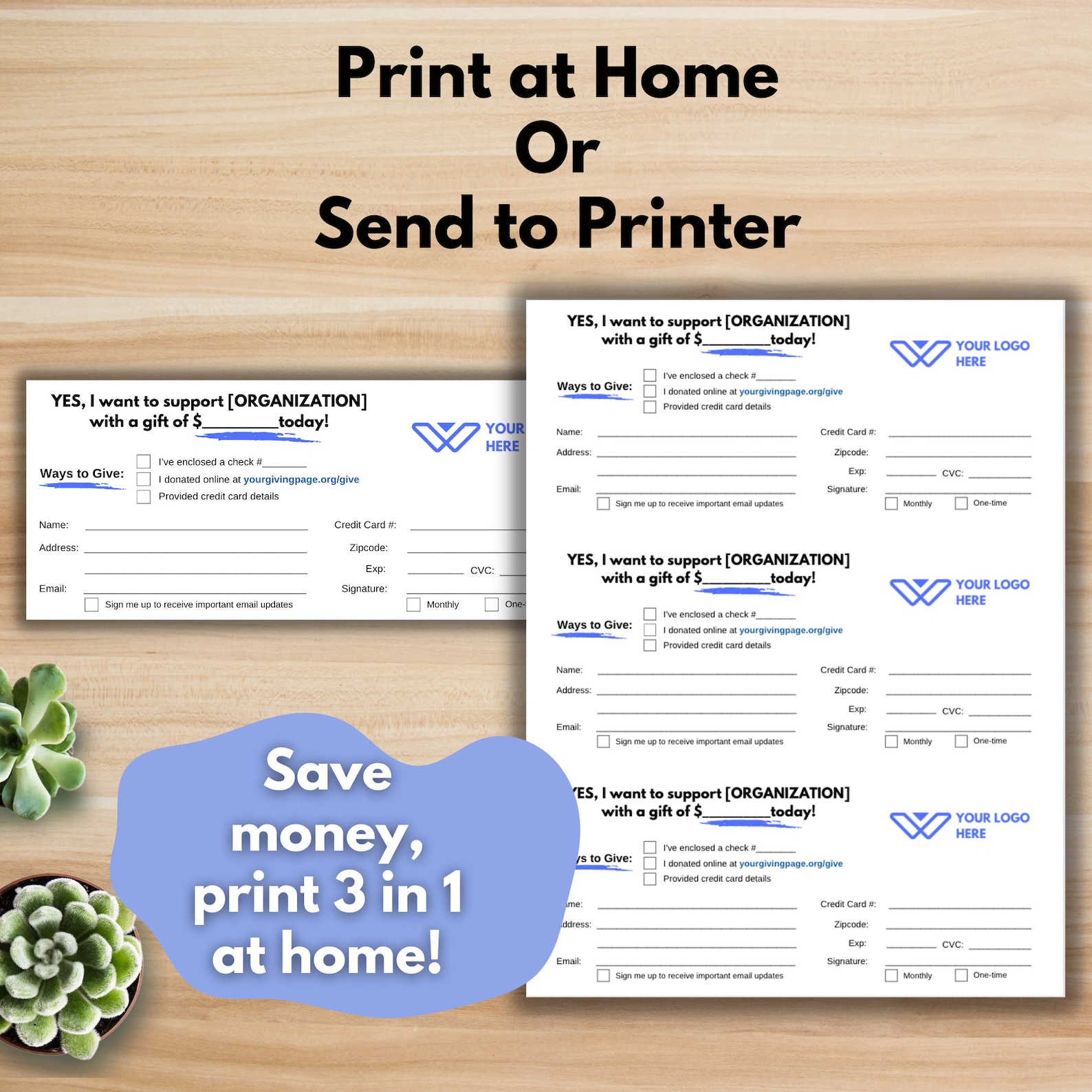 DIRECT MAIL PACKAGE - Nonprofit Template, Canva Template, Solicitation ...